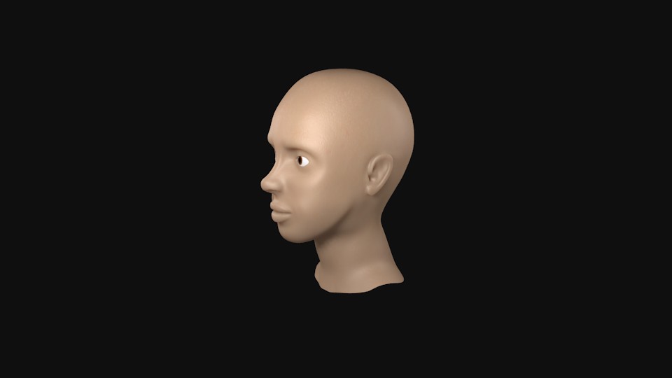 Human Head preview image 1